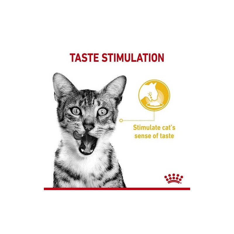 Royal Canin paket mokre hrane Sensory Taste 12x85g