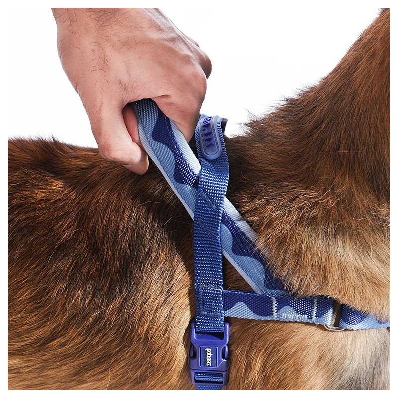 Zee.Dog Softer Walk oprsnica Swell