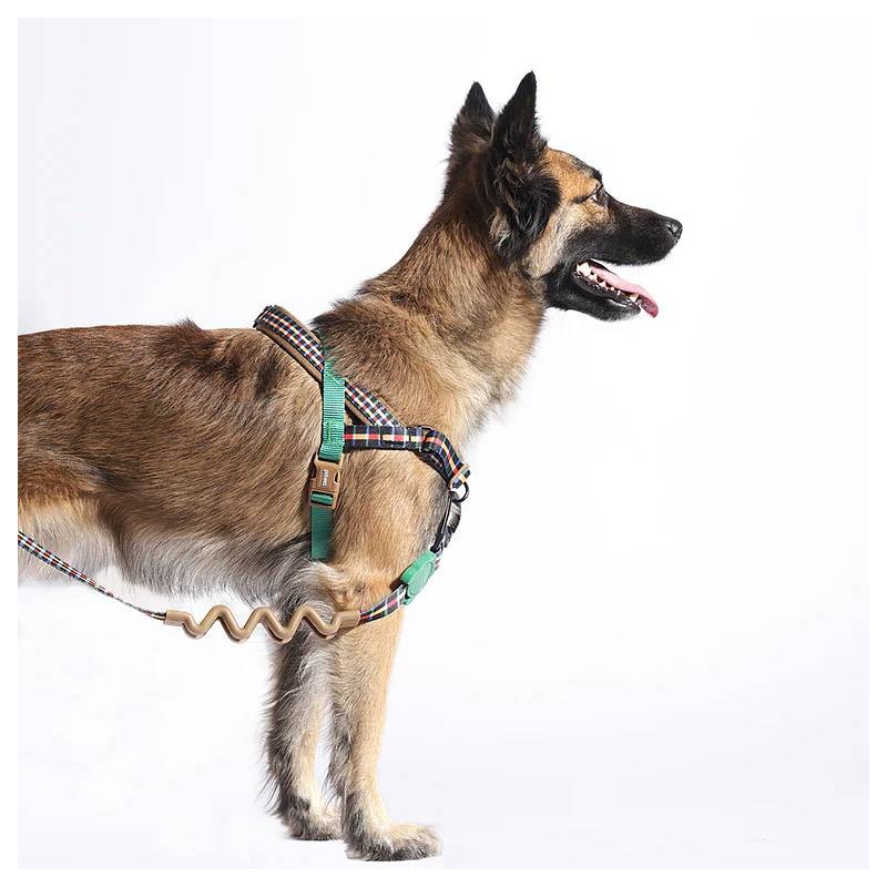 Zee.Dog Softer Walk oprsnica Travis