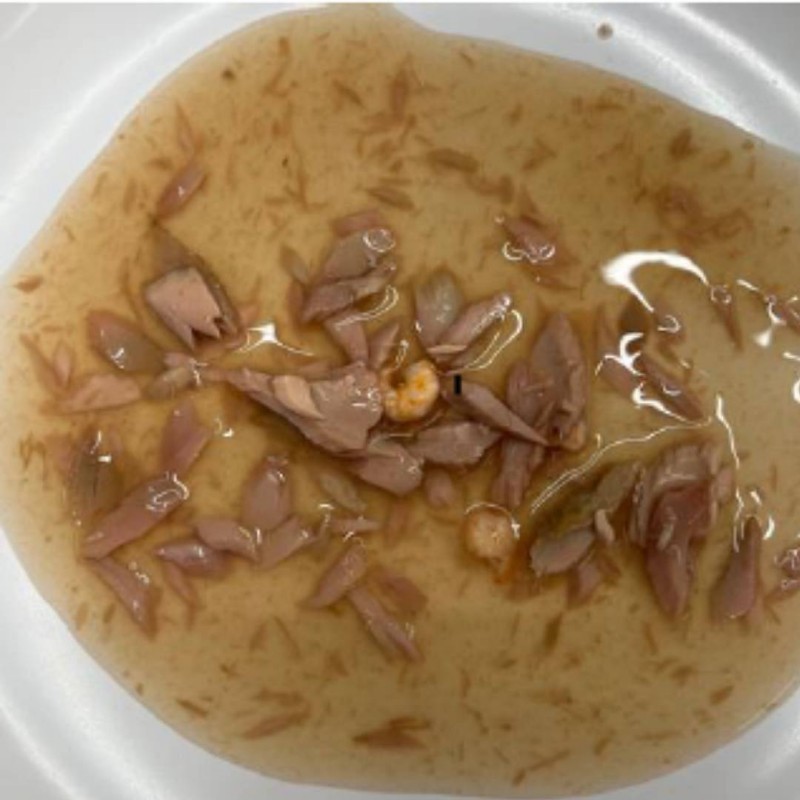 Lifecat Soup Tuna in rakci v juhi z morskimi sadeži 60g