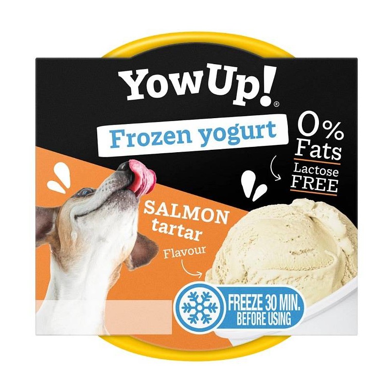 YowUp! FrozenYogurt Lososov tatar 110g