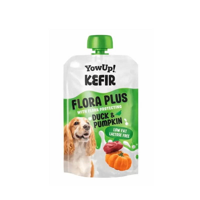 YowUp! Kefir Raca in buča