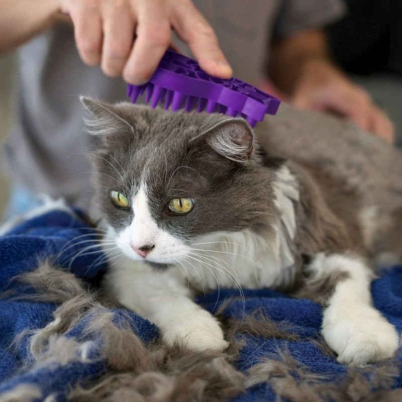 KONG krtača Zoom Groom cat