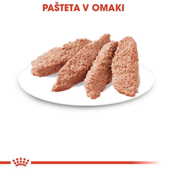 Royal Canin paket Sterilised pašteta 12x85g