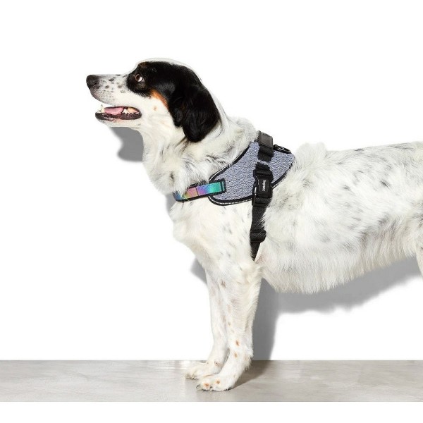 Zee.Dog Flyharness oprsnica Urban