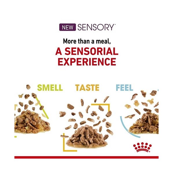 Royal Canin Sensory Smell 85g