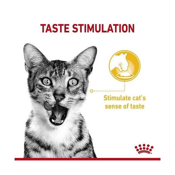 Royal Canin Sensory Taste 85g