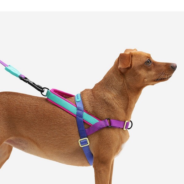 Zee.Dog Softer Walk oprsnica Shockwave