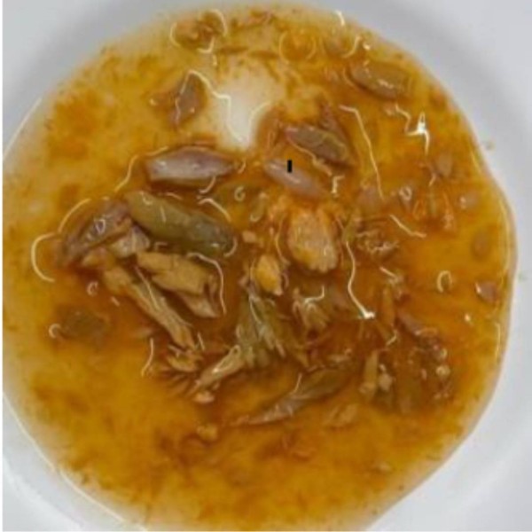 Lifecat Soup Tuna in losos v juhi z lignji 60g