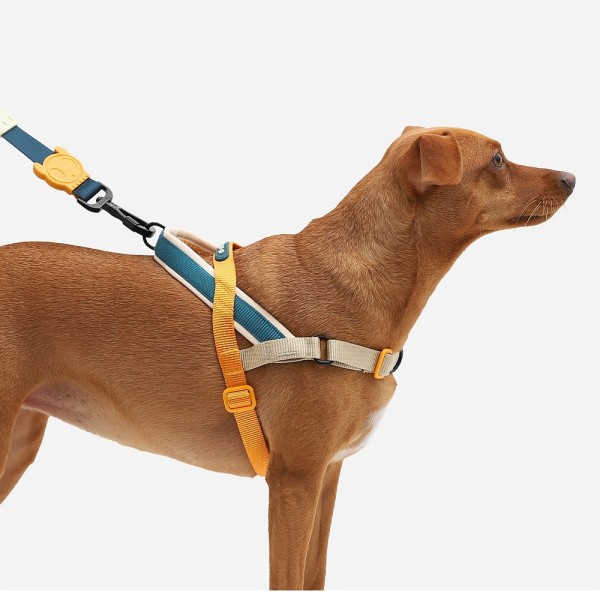 Zee.Dog Softer Walk oprsnica Voyage