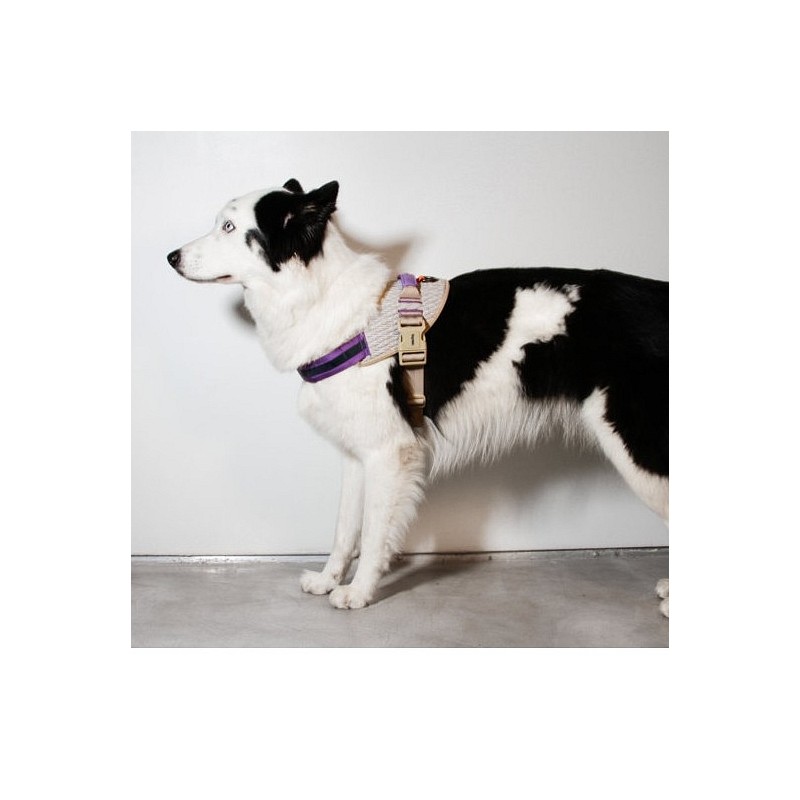 Zee.Dog Flyharness oprsnica ACG