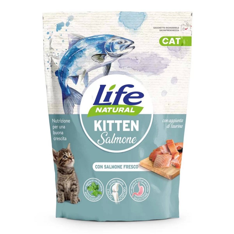 Lifecat briketi Kitten Losos