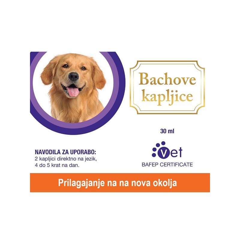 Formula Prilagajanje na nova okolja za pse