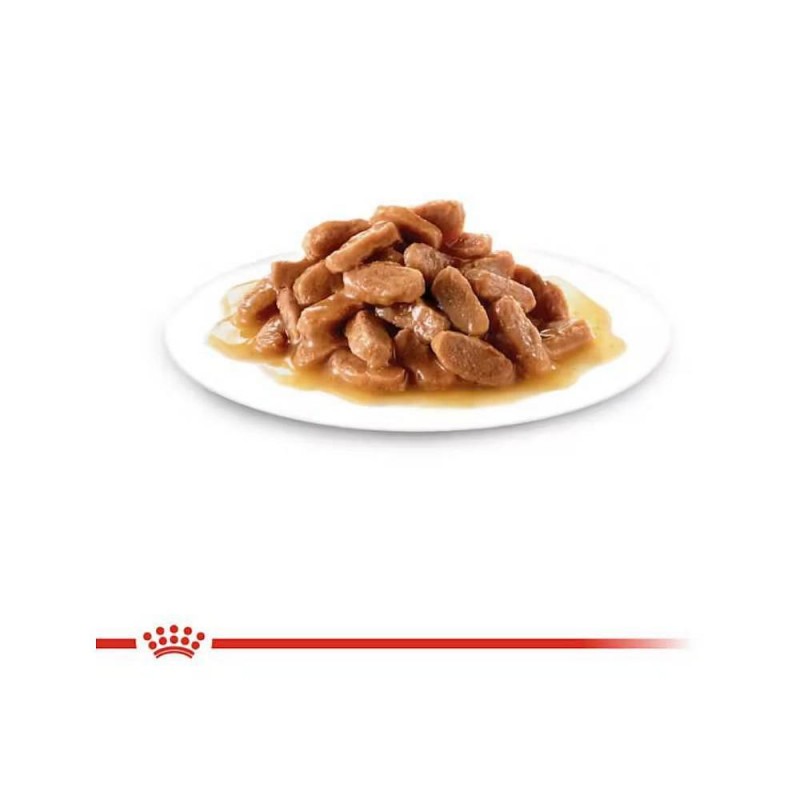 RC mokra hrana za mačke Kitten instinctive 85g