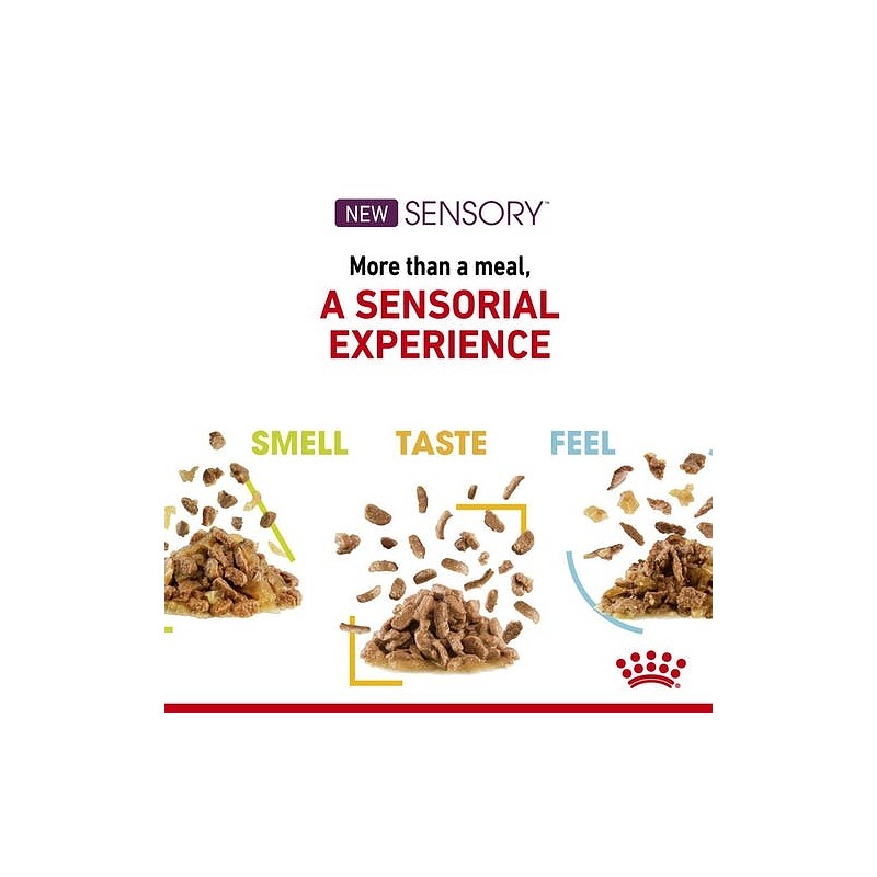 Royal Canin Sensory Taste 85g