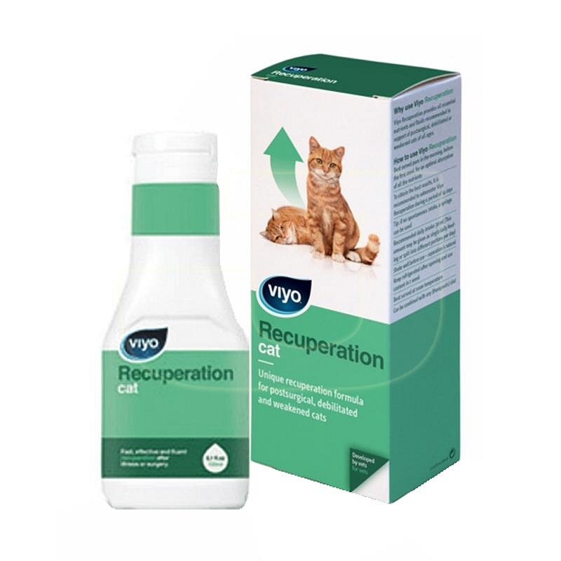 VIYO Recuperation cat 150ml