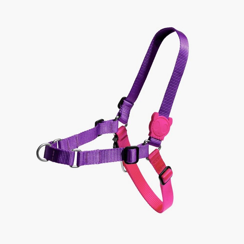 Zee.Dog pasja oprsnica Vega Soft walk